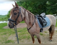 preview pic