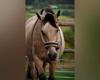 preview pic