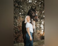 preview pic