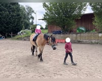 preview pic