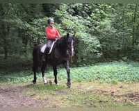 preview pic