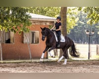 preview pic