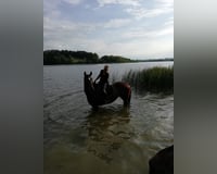 preview pic