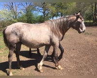 preview pic