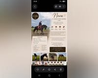 preview pic