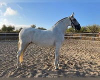 preview pic