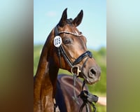 preview pic