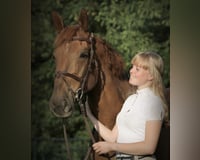 preview pic
