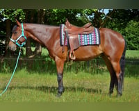 preview pic