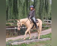 preview pic
