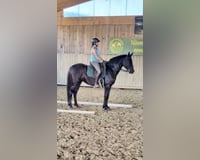 preview pic