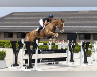 preview pic