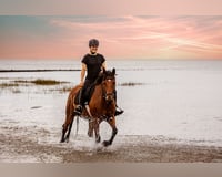preview pic