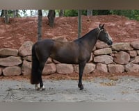 preview pic