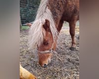 preview pic