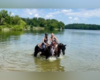 preview pic