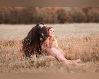 Suche Reitbeteildigung (RsP)