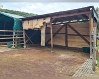 preview pic