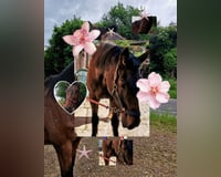 preview pic