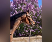 preview pic