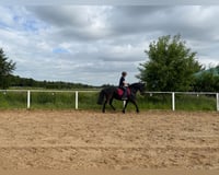 preview pic