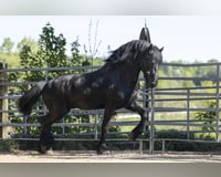 preview pic