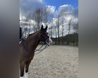 preview pic