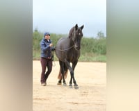 preview pic