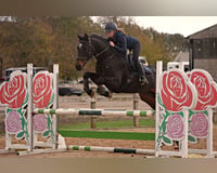 preview pic