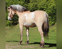 preview pic