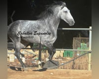 preview pic
