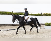 preview pic
