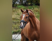 preview pic