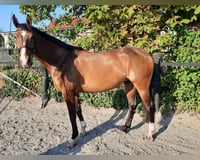 preview pic