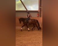 preview pic