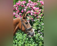 preview pic