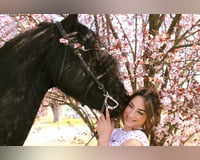 preview pic