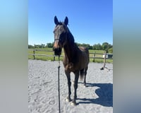 preview pic