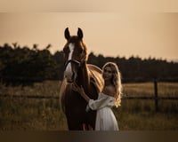 preview pic