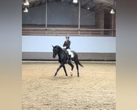 preview pic