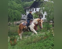 preview pic