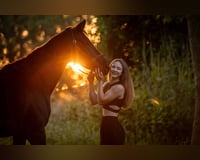 preview pic