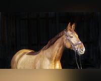 preview pic