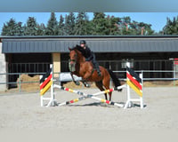 preview pic