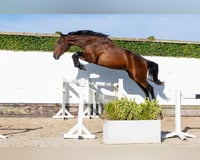preview pic