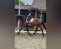 Wallach 7 Jahre