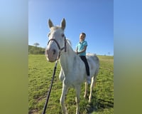 preview pic