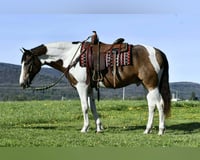 preview pic