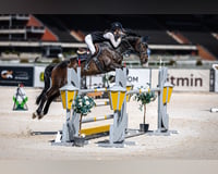 preview pic