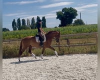preview pic